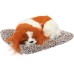 VOILA Sleeping Cute Dog for Car Dashboard and Home Decor with Activated Carbon for Decoration Toy Decorative Showpiece